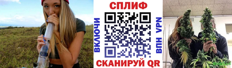 Купить наркотики Щигры omg вход  Бутират  Alpha PVP  Мефедрон  КОКАИН  Бошки Шишки 