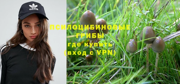 меф Каменногорск