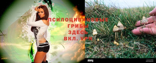 меф Каменногорск