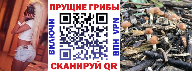 даркнет телеграм  Щигры  Галлюциногенные грибы мухоморы 